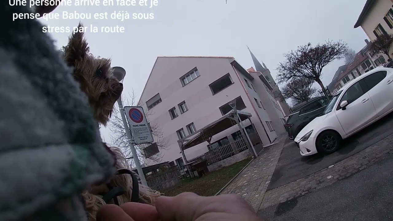 Babou balade 20260119-163000