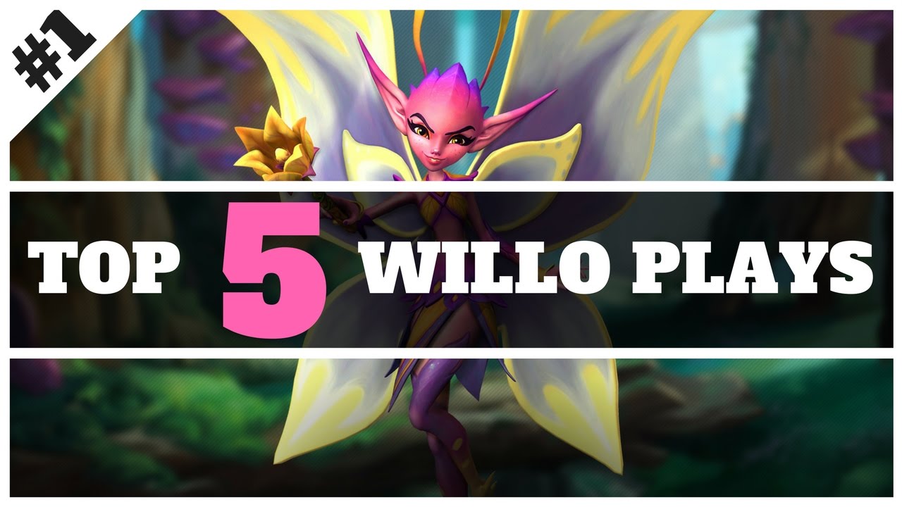 PALADINS - TOP 5 WILLO PLAYS #1