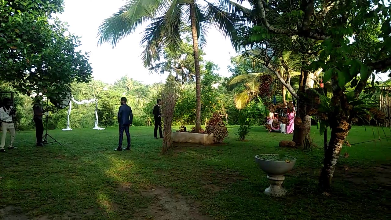 Green Garden Photo Location  Aruggoda Contact us reserve your date : 0778759516 (Dimuthu Sameera)