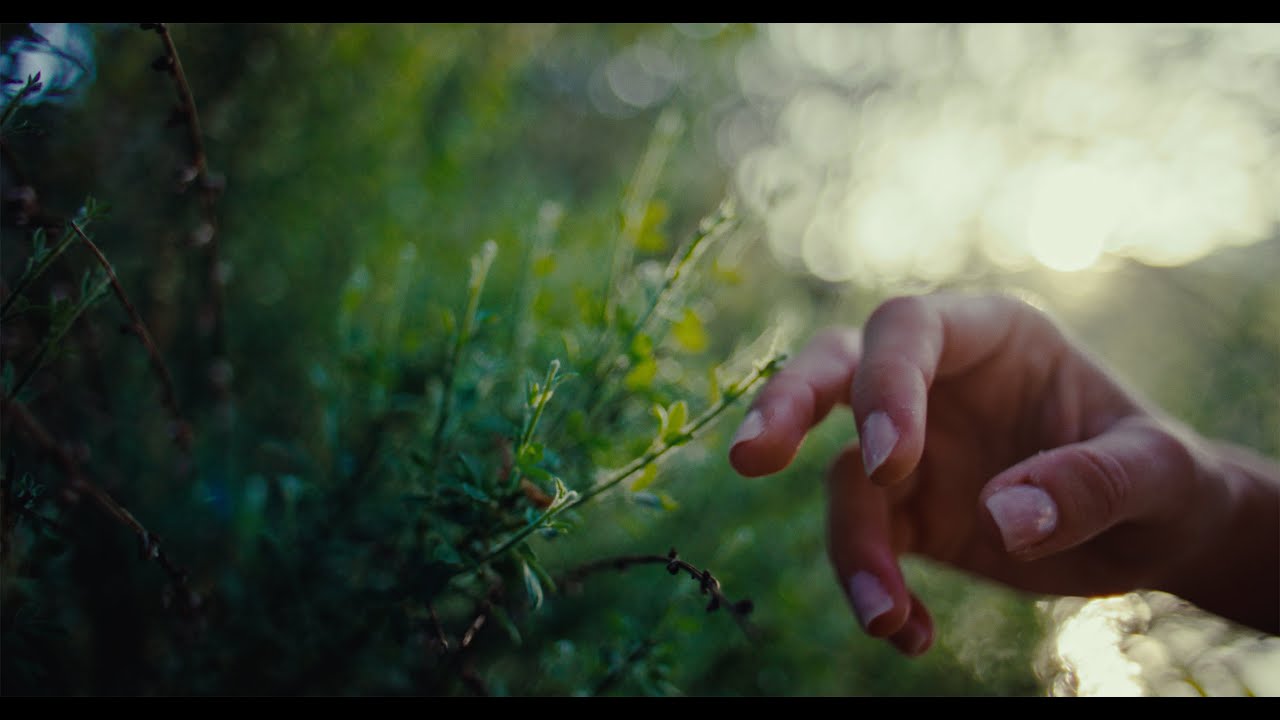 RED Komodo X with Contax Zeiss 28mm f2 Hollywood | FilmVision Pro