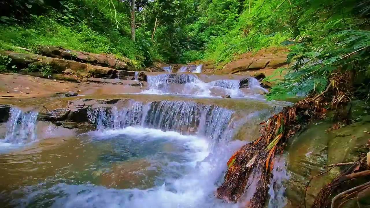 Sleep Sounds with Nature | Gentle River White Noise for Rest & Relaxation
