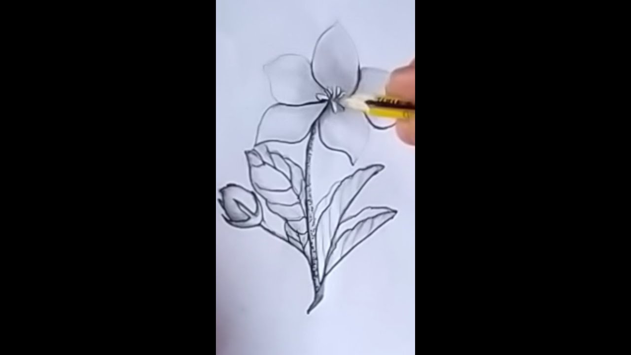 Flower drawing tutorial |How to art flower Very easy  |#easy #short #byzeet Art