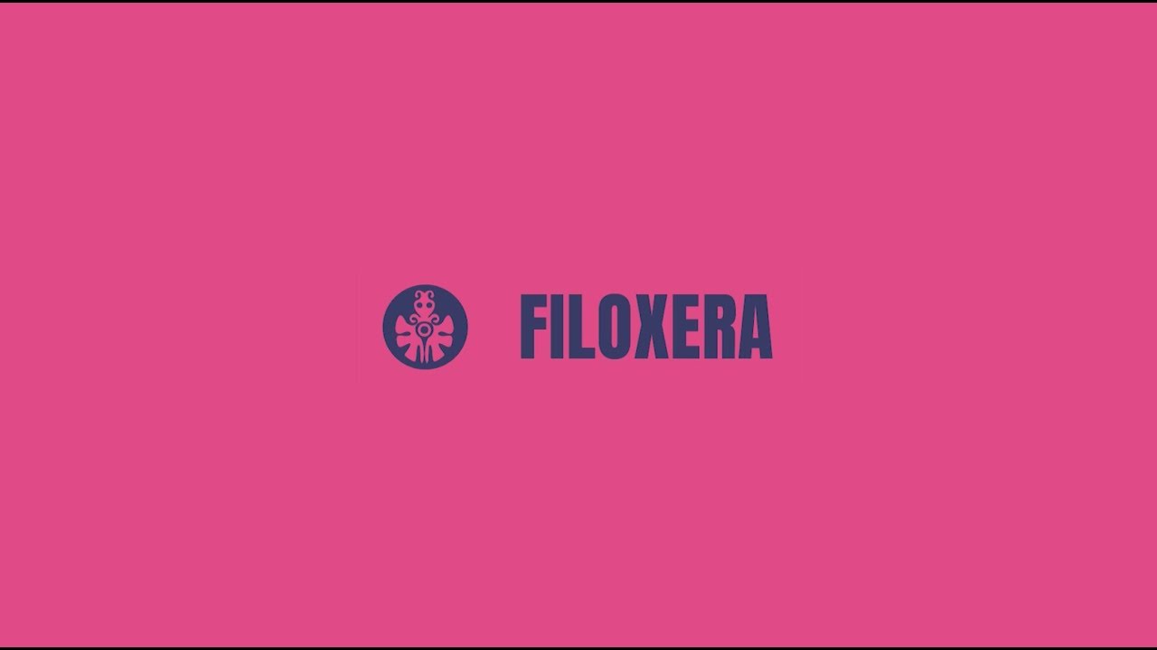 Plataforma Celeste | EMF sessions - FILOXERA
