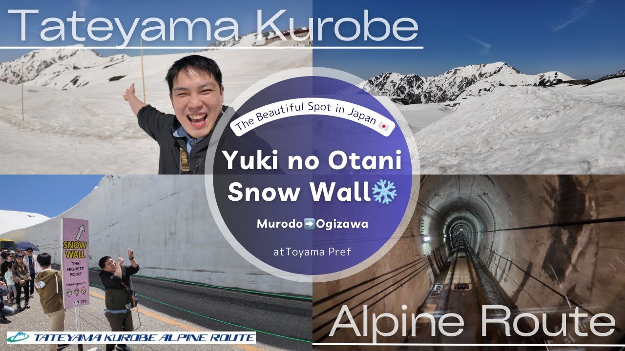 ⛰ Tateyama Kurobe Alpine Route ⛰ Super Beautiful Place “Yuki no Otani”(Snow Wall) | Kenta-san