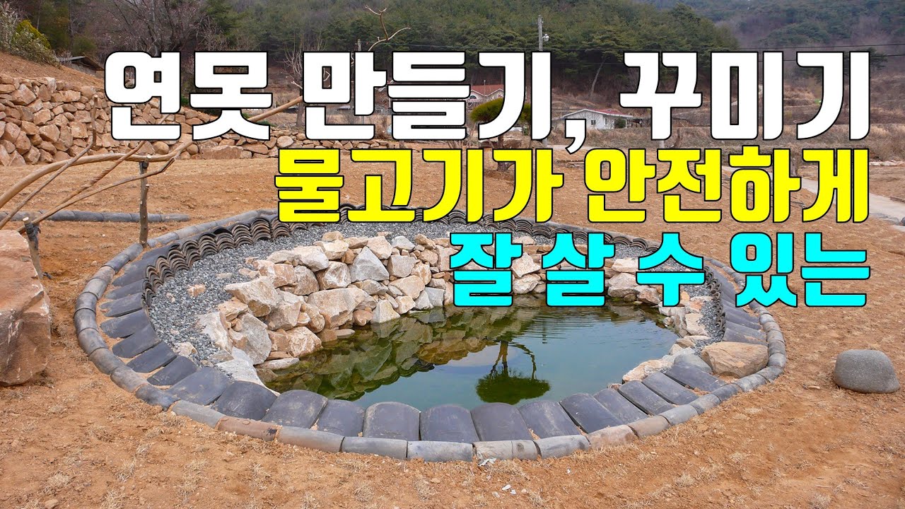 연못 만들기 꾸미기, 물고기가 안전하게 잘 살 수 있는...(2021년 8월)