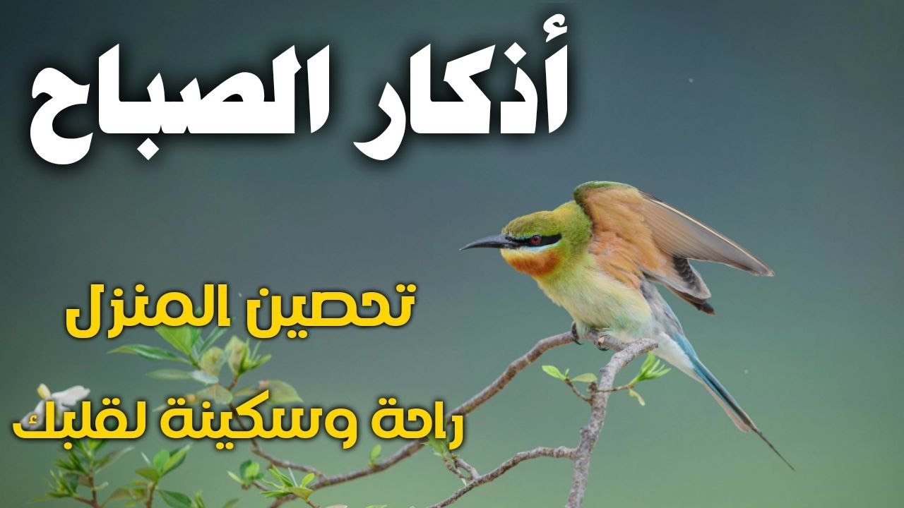 اذكار الصباح تلاوة تريح القلب 🌿لجلب الرزق والشفاء والبركة باذن الله Adhkar Morning