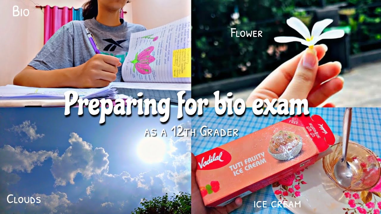 Preparing For Bio Exam 🌱 Study Vlog ⛱️ How to make notes 🍡 Term -1 Exams