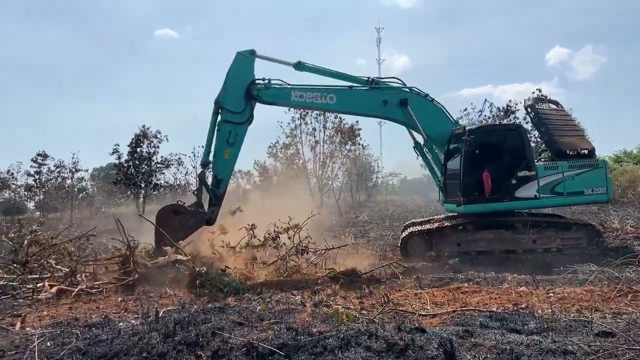 Excavator clears the trees from the farmland to make it clean. #kobelco 