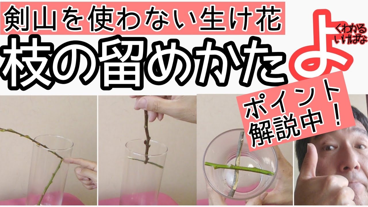 【よくわかるいけばな】枝物をいける際のポイント！ 剣山を使わない生け花　枝の留め方　瓶花　投げ入れ 始めよういけばな レッスン！