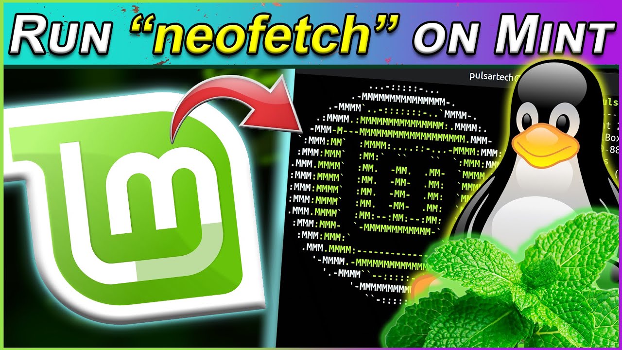 Как отображать NeoFetch каждый раз при открытии терминала в Linux Mint