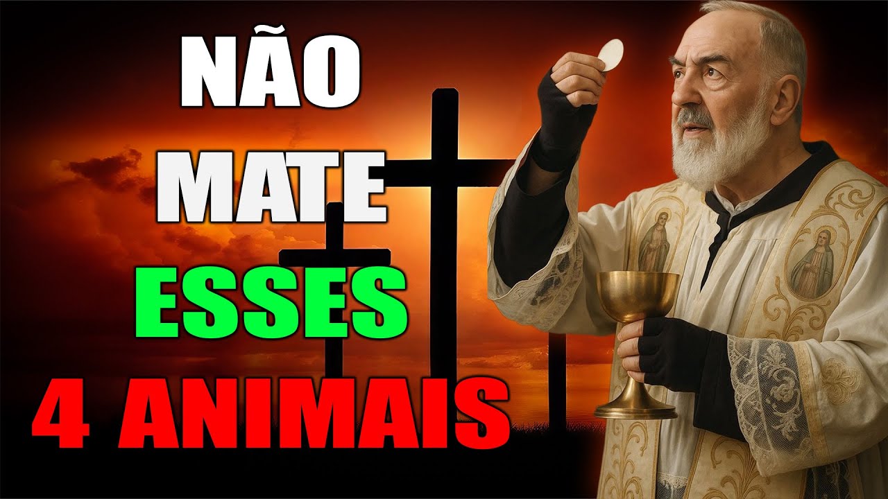PADRE PIO REVELOU: 4 ANIMAIS QUE O CRISTÃO NÃO DEVE MATAR — UM ALERTA ESPIRITUAL MUITO IMPORTANTE!
