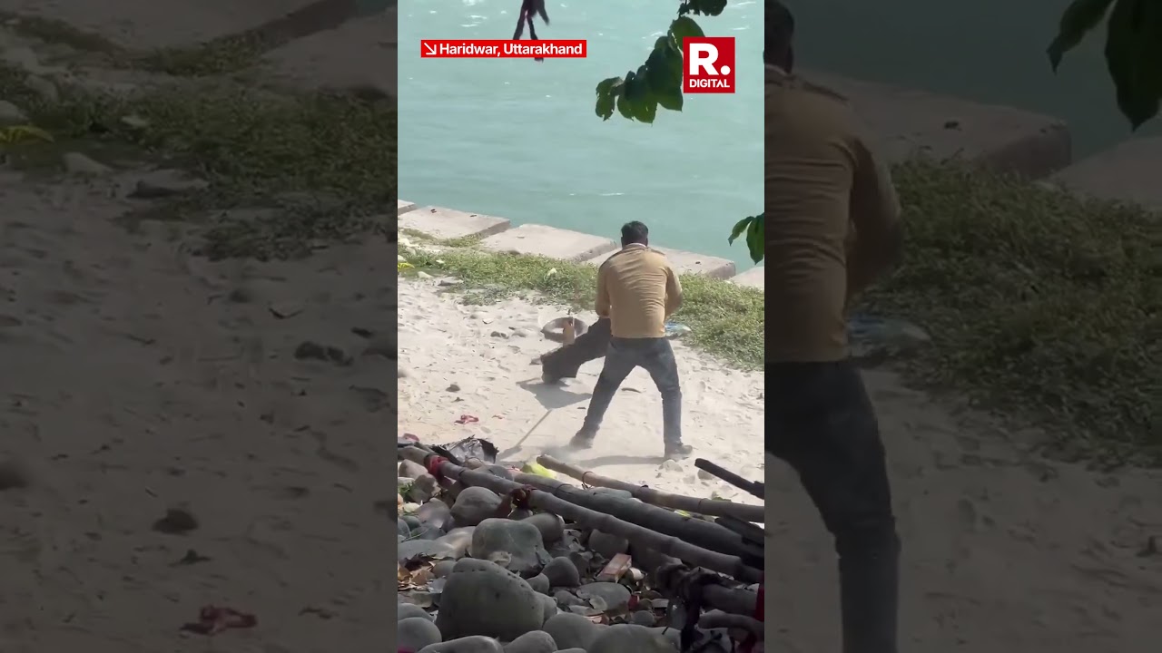 13-Foot King Cobra Rescued from Ganges in Haridwar
