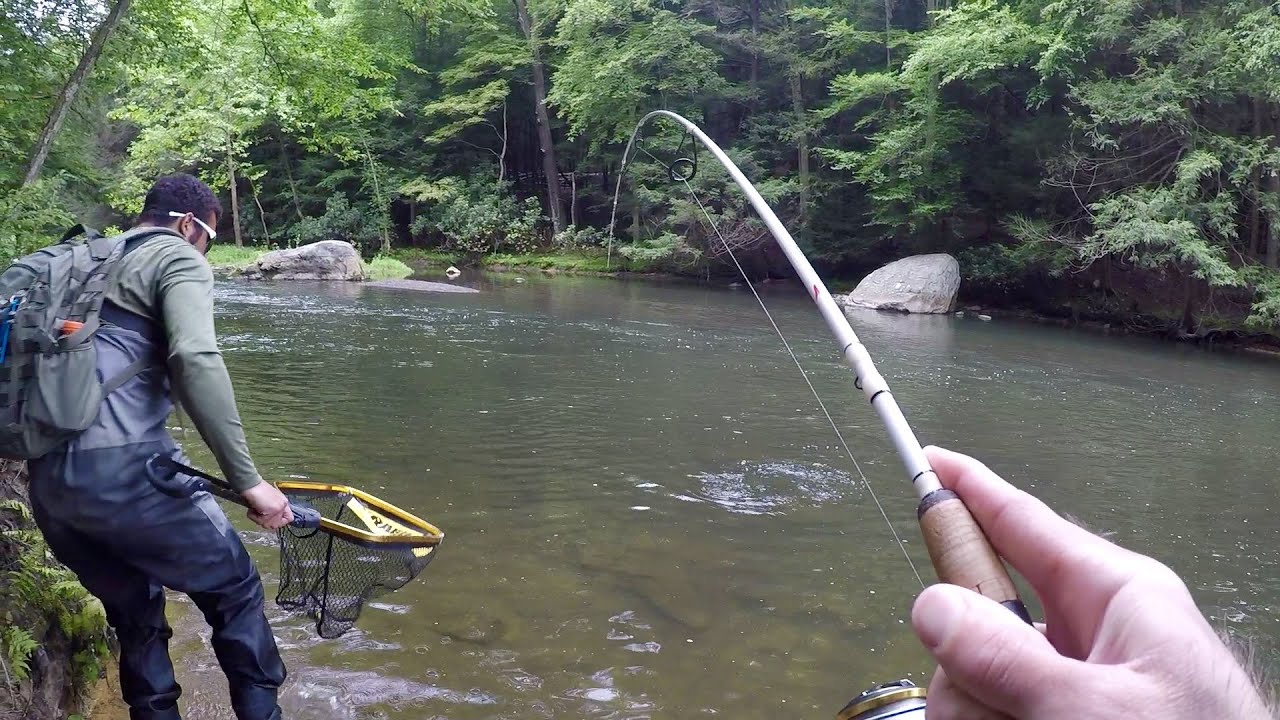 Ловля форели на GULP Minnows