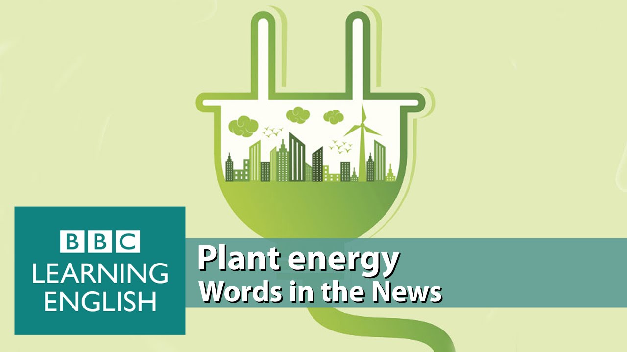 Plant Energy. Learn: power (verb), investigating, sustainable energy, electrons, solar panel