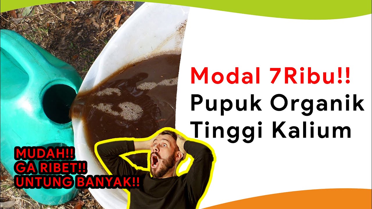 Pupuk Pengganti Kalium Silika, Kalsium dan Kapur Dolomit Sekaligus