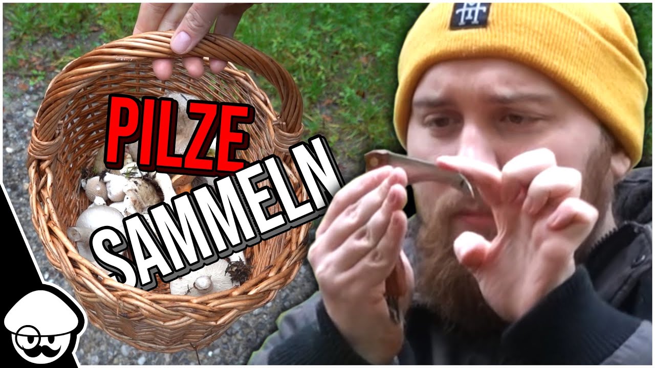 Wir haben im Wald nach Pilzen gesucht (hab überlebt) - DEKMRM #4