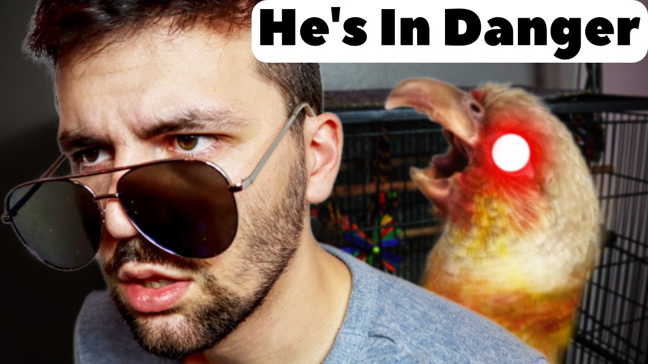 Animal Expert Doesn’t Know This Bird Is A Demon
