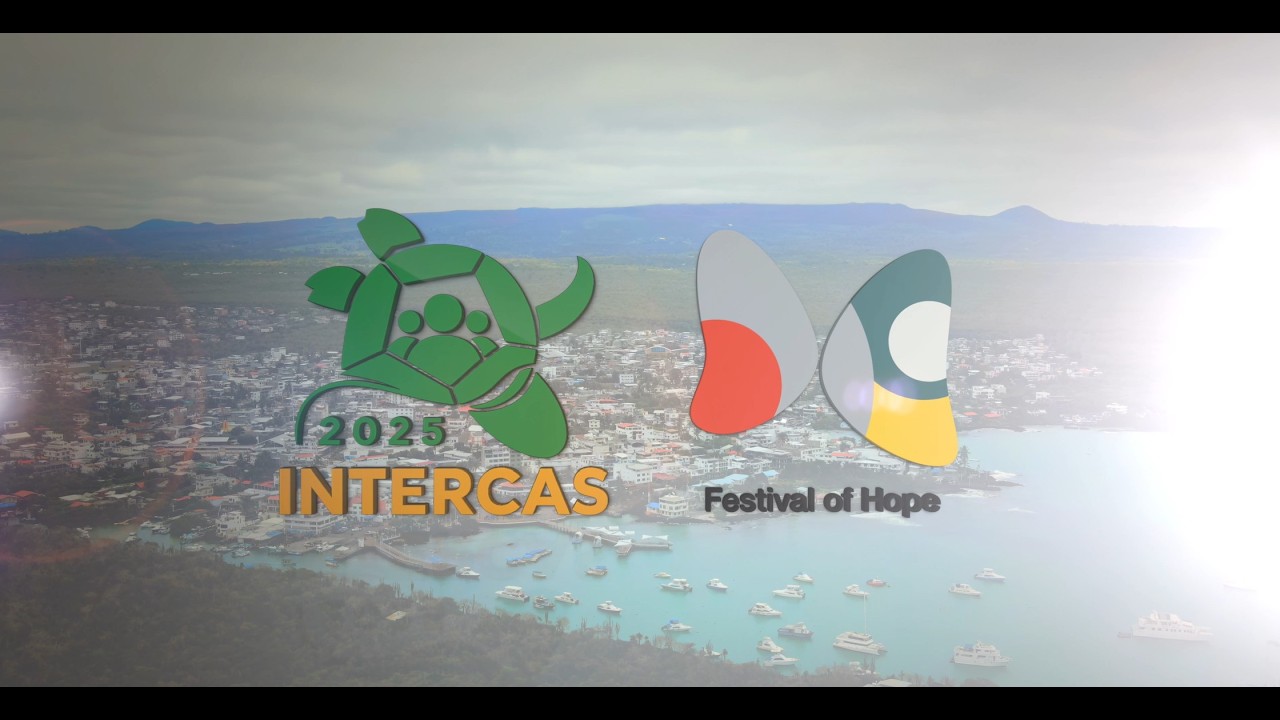 ⚡️ ¡EL RESUMEN QUE ESPERABAS! InterCAS 2025 Highlights
