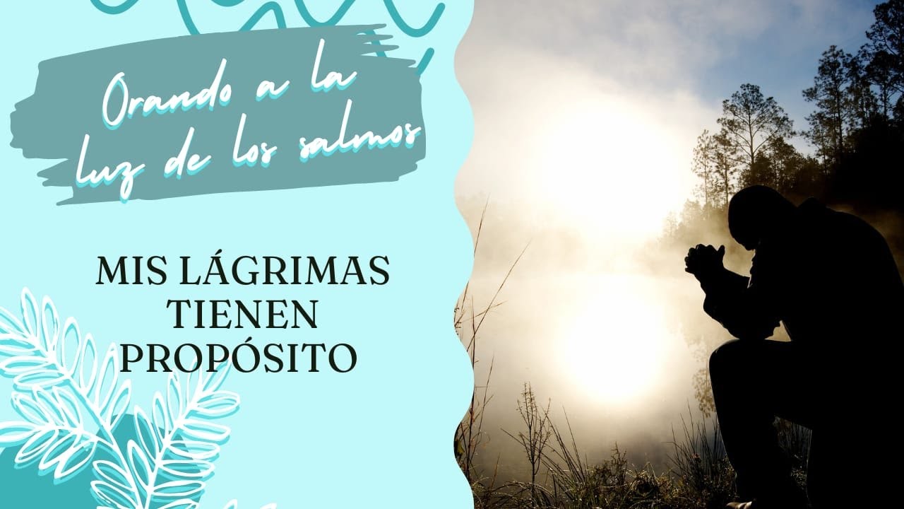 Mis lagrimas tienen un proposito