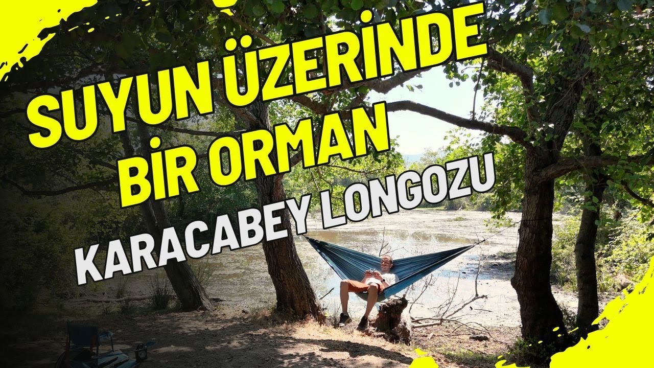 Karacabey Longoz Ormanları – Doğayla Baş Başa Bir Yolculuk 🌿 | Huzur, Yaban Hayat ve Keşif