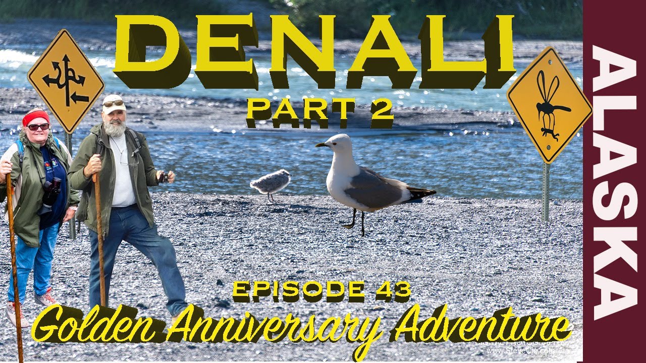 Ep 43 Denali NP and Preserve Part 2 Riley Creek Campground, Savage River Denali Village Nenana River
