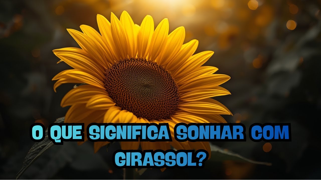 Sonhou com Girassol? Entenda o Sinal 🌻