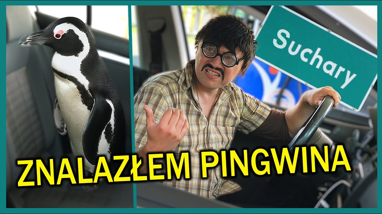 STACJA PALIW 2- Suchary #260