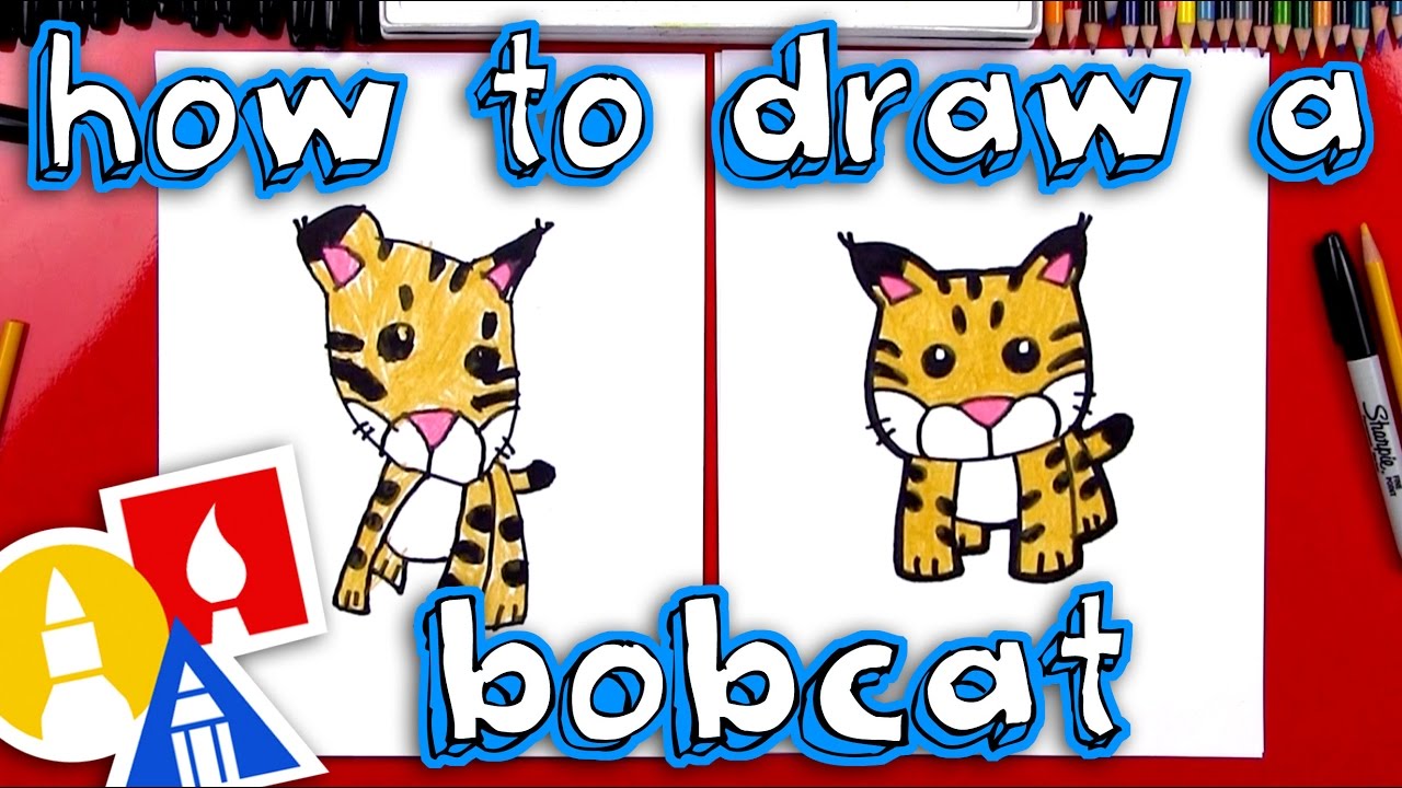 How To Draw A Cartoon Bobcat