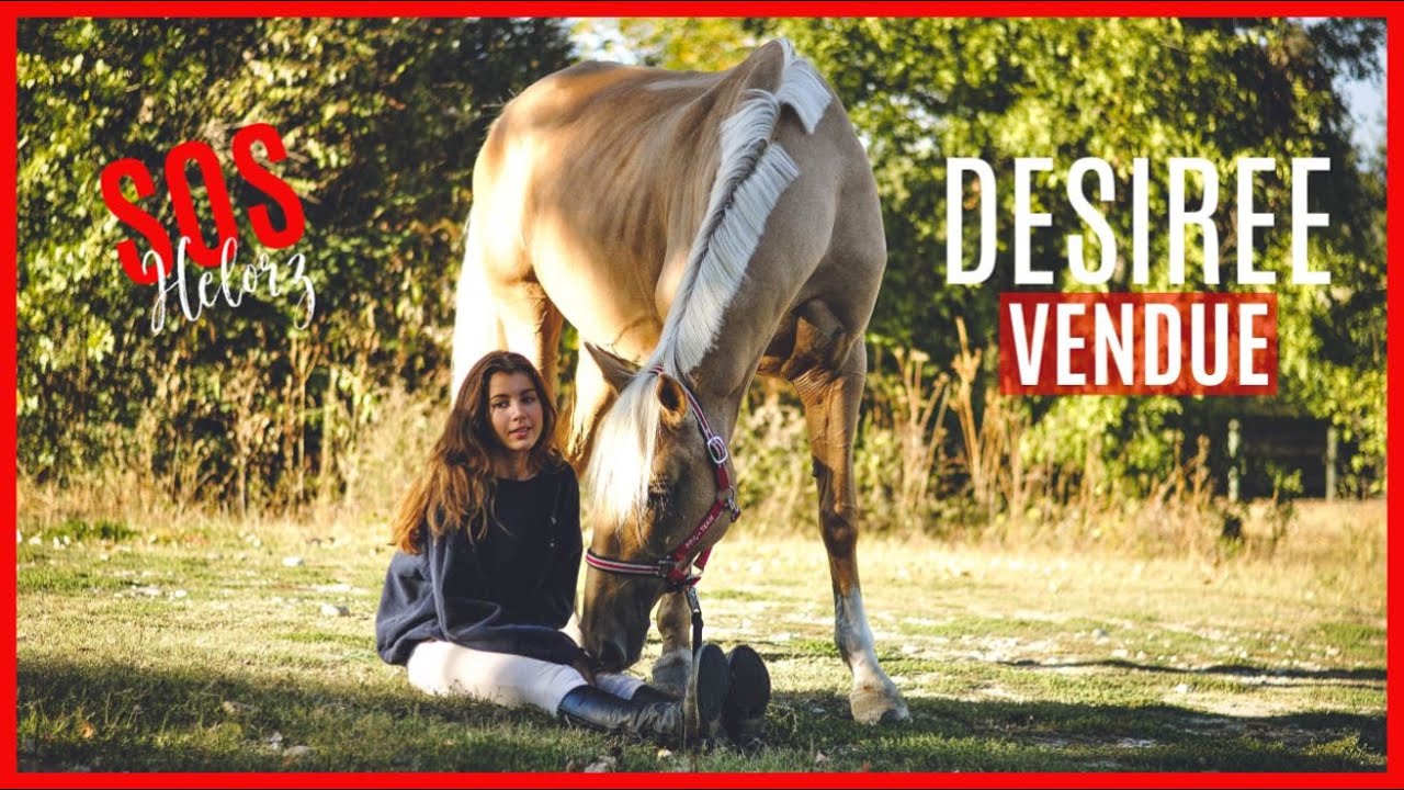 ÉPISODE 3 : SOS HELORZ #2 DÉSIRÉE VENDUE, COMMENT SURMONTER LA VENTE D'UN CHEVAL IMPORTANT ?