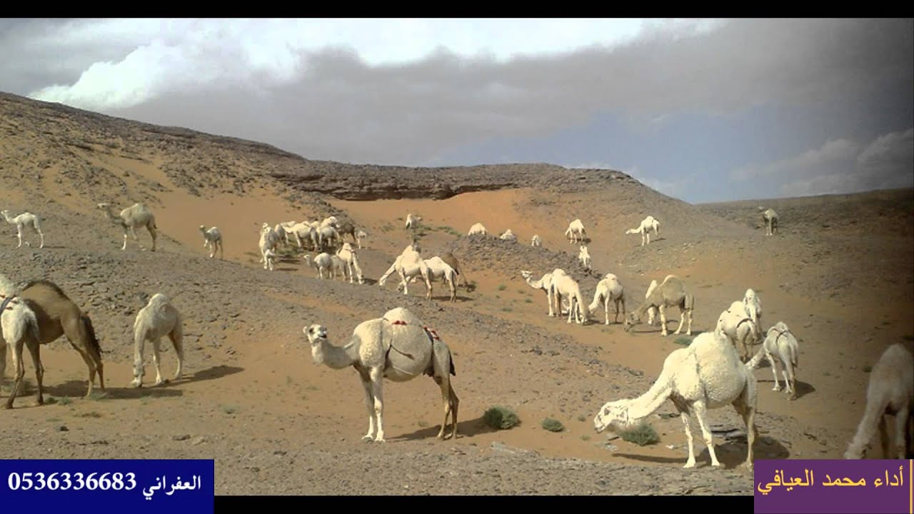ياخوك حلو النوم عيا يجيني والعين عيت تقبل النوم ياخوك