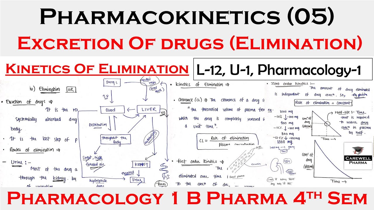 Pharmacokinetics (05) || Excretion of drugs ( Elimination ) || kinetics of elimination || L-12, U-1