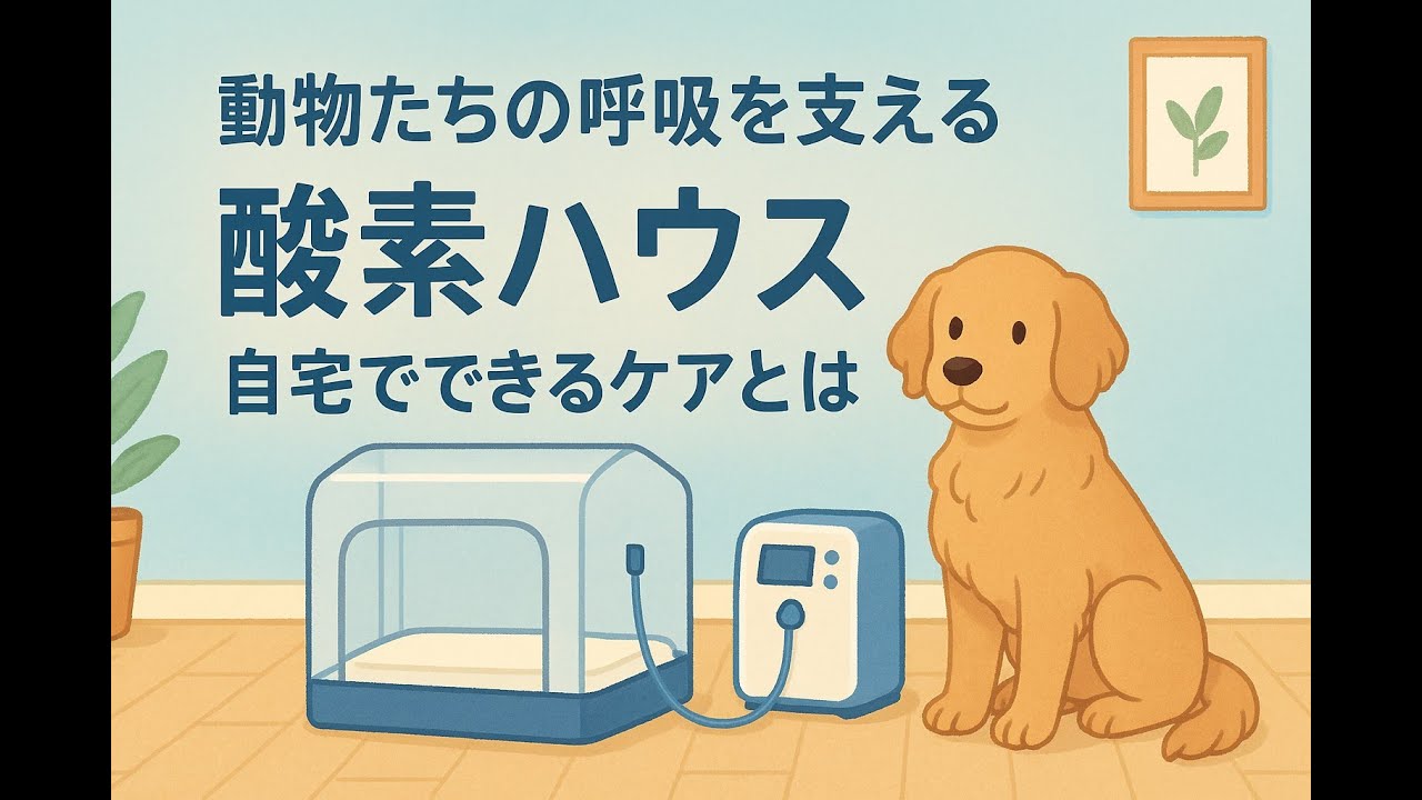 動物たちの呼吸を支える酸素ハウス｜自宅でできるケアとは