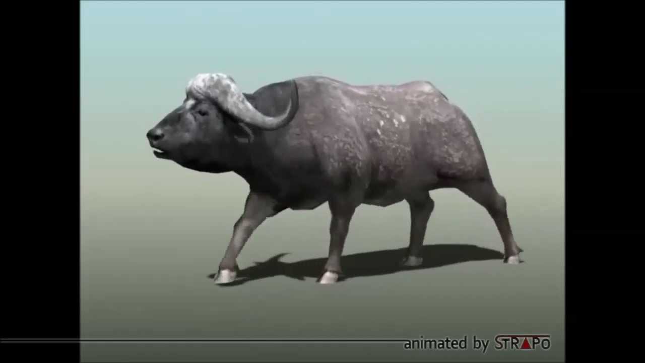 Character animation reel 2013