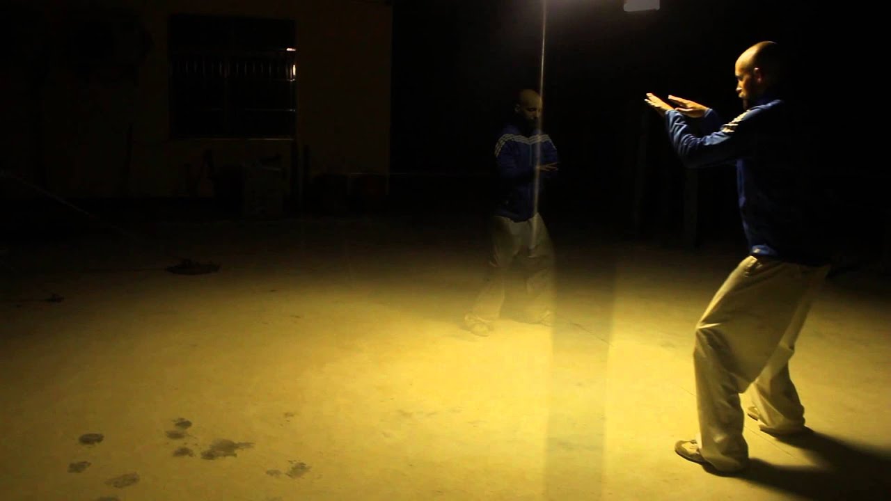 Baji Quan (Long Style) and Red Sand Palm