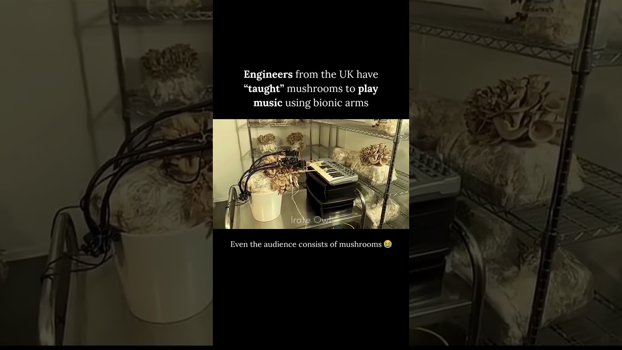 Can Mushrooms Make Music? 🤯 Bioelectric Art Meets Technology 