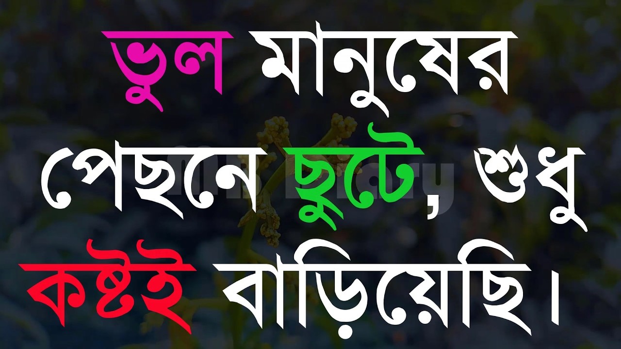 ভুল মানুষের পেছনে ছুটে শুধু কষ্টই ।-Life Changing Motivationa l Monishider Bani Kotha MB Diary