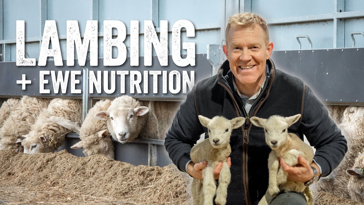 Adam Henson's Farm Diaries Ep1 - Lambing 101 & Ewe Nutrition