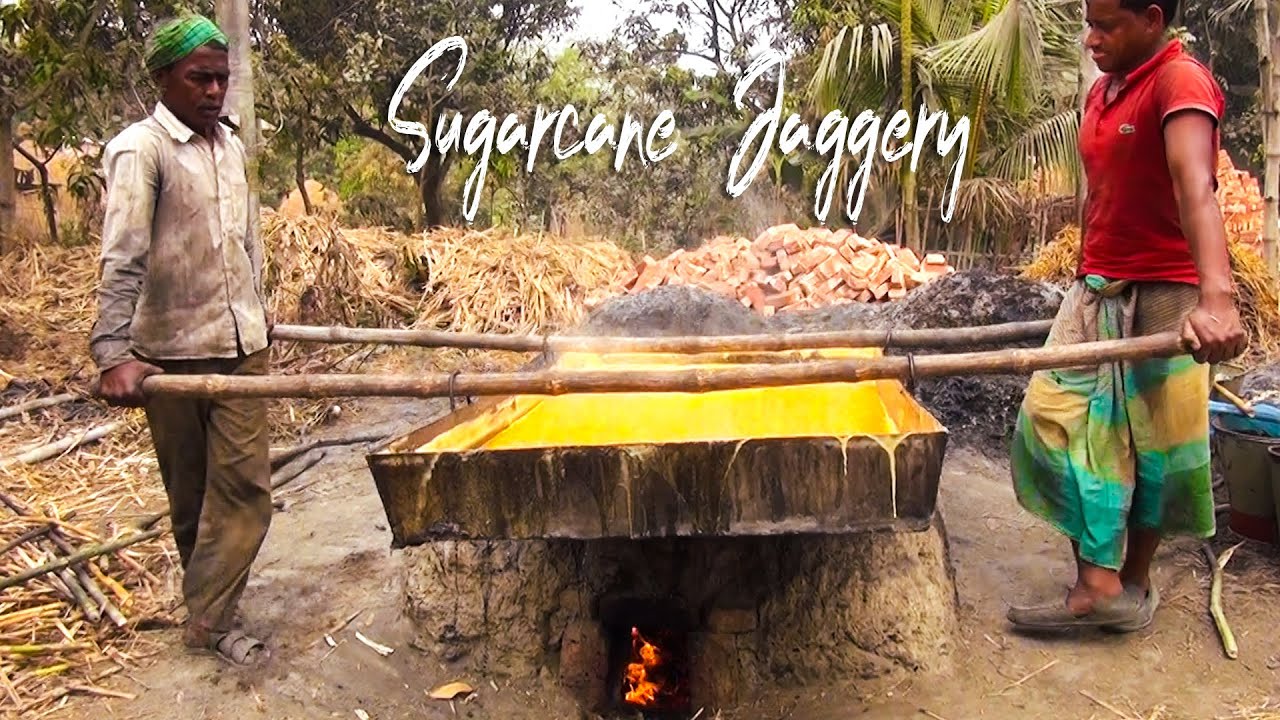#Traditional Jaggery Making | Jaggery Making Process from Sugar Cane | MAKING OF GURR