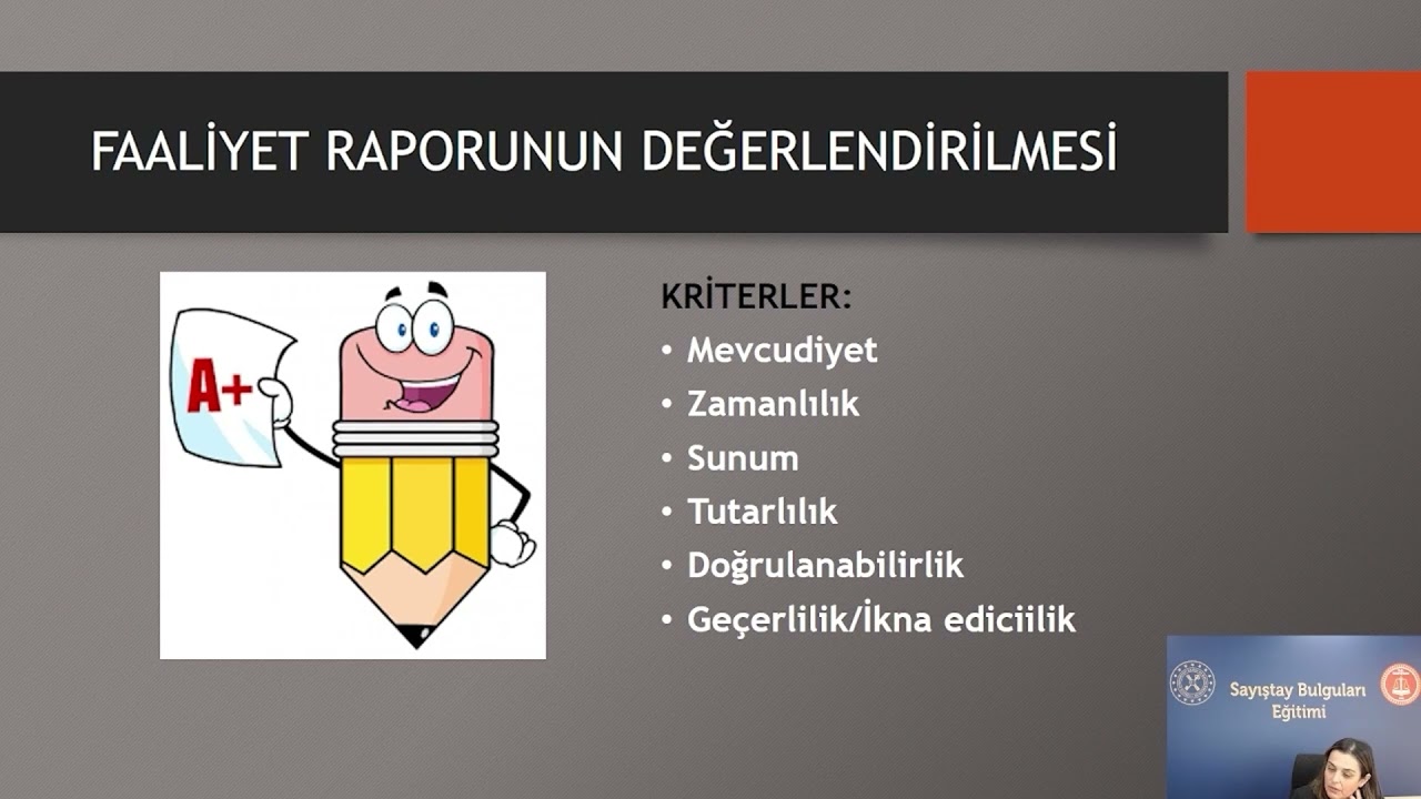 Performans Ve İç Kontrol Sistemi Ve Sayıştay Denetimi- Düzenlilik Denetimi ve Performans Denetimi