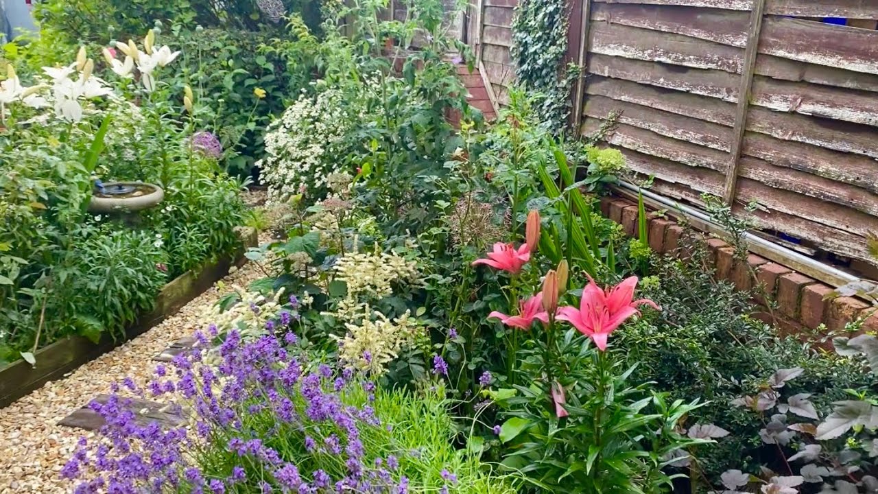 Early July Garden Tour | Flowering Highlights & Annabelle Hydrangea Magic