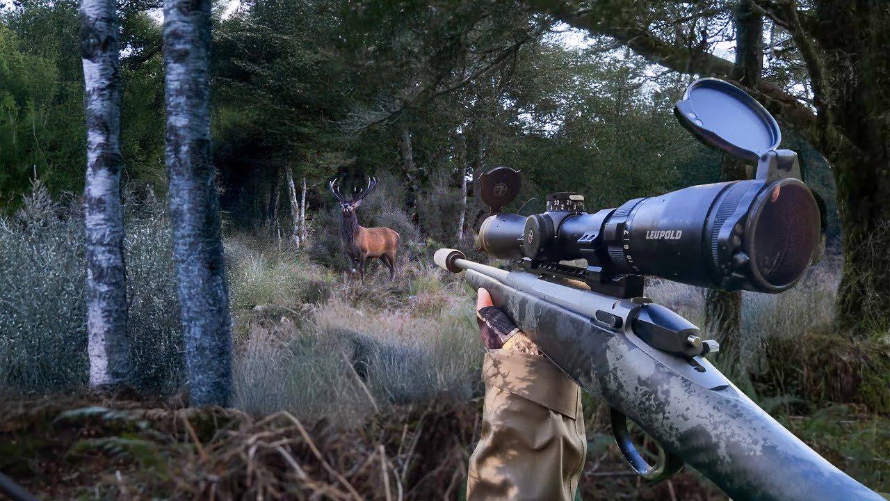 It Came Out Just Before Dark | Solo 8 Day Hunt 2025