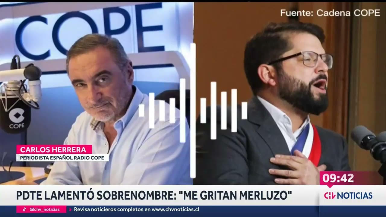 El significado de &ldquo;merluzo&rdquo;, el insulto que un periodista espa&ntilde;ol realiz&oacute; al Pdte. Boric