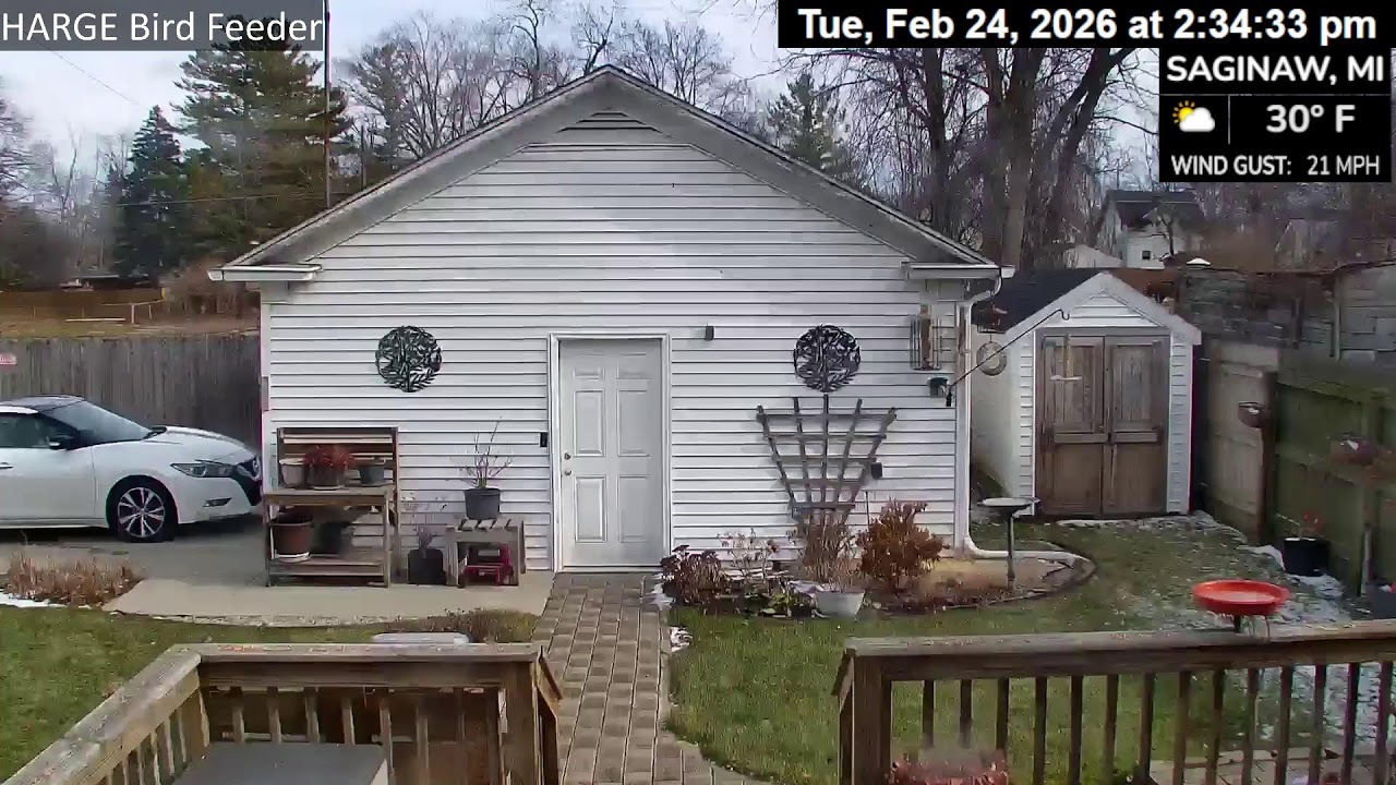 HARGE Bird Feeder