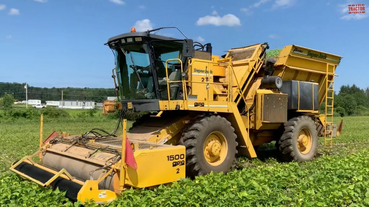 OXBO Green Bean Harvester