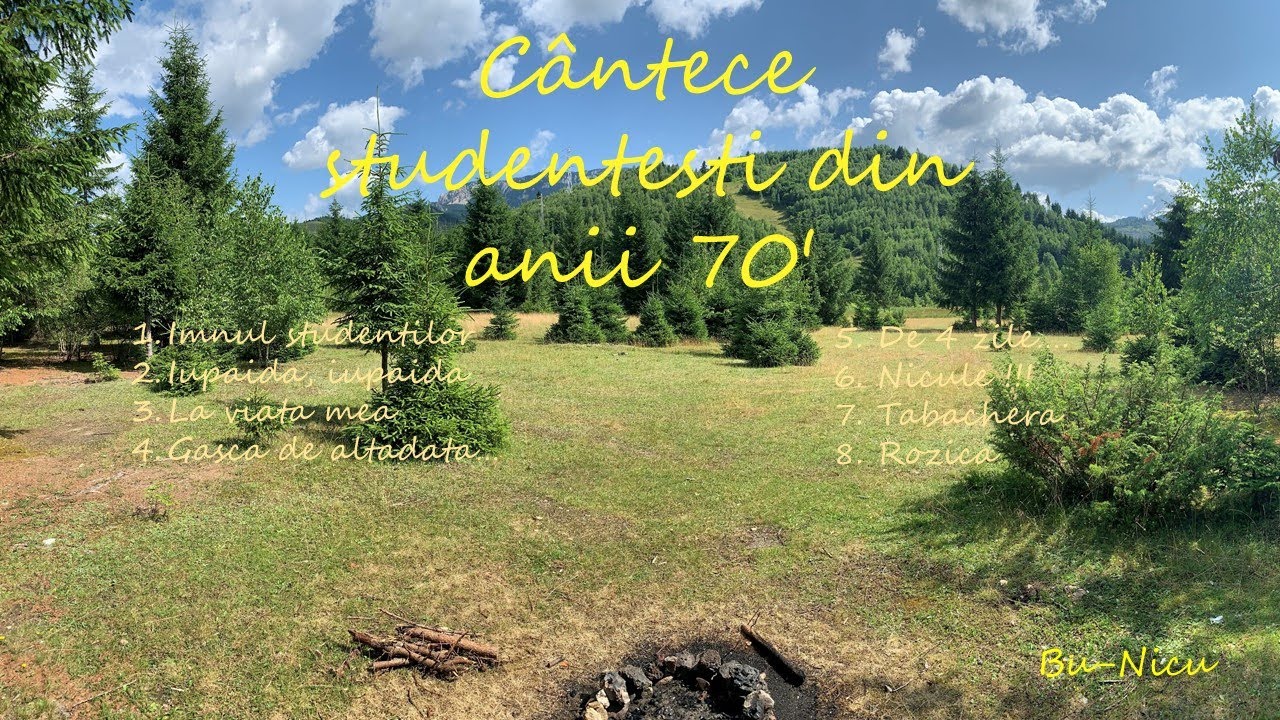 Bu-Nicu : Gașca de altădată album muzică studențească anii 70'