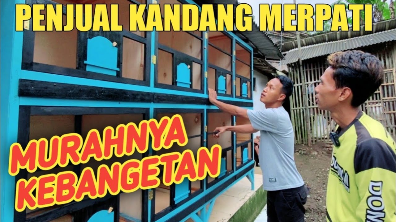 BELI KANDANG MERPATI DISINI MURAHNYA KEBANGETAN