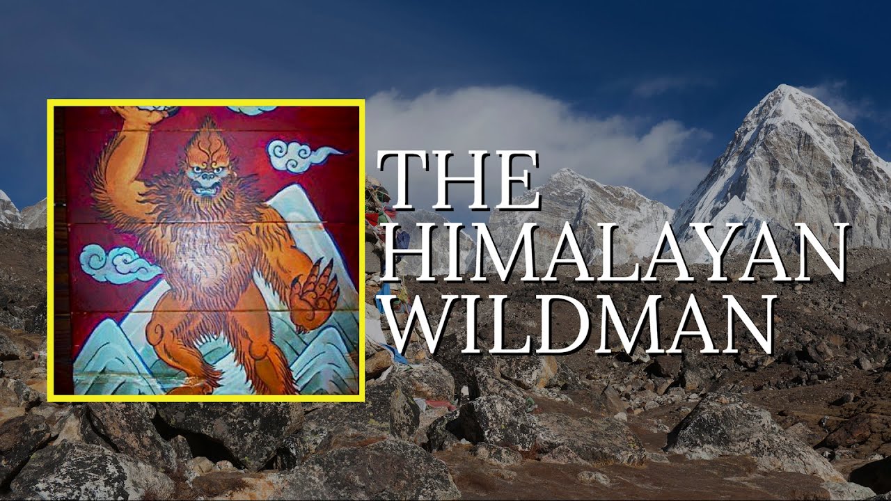 Yeti | The Himalayan Wildman