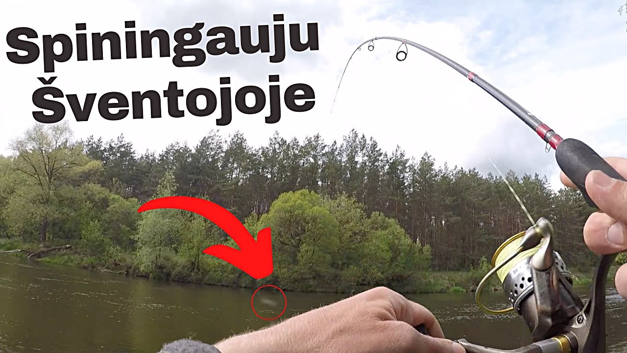 Žvejyba spiningu Šventosios upėje pavasarį. Pagaliau pagavau žuvį 😁