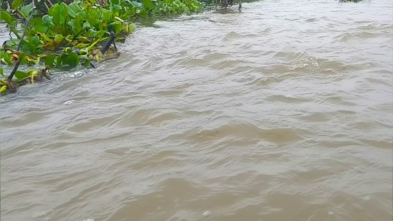 VEJAM COMO ESTÁ O RIO SALGADO HOJE 