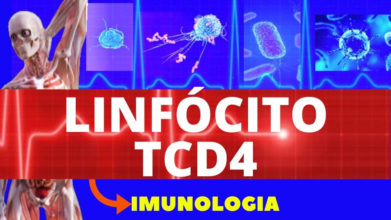 LINF&Oacute;CITO TCD4 (ENSINO SUPERIOR) - IMUNOLOGIA - SISTEMA IMUNOL&Oacute;GICO